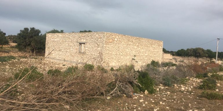 WhatsApp Image 2019-10-12 at 19.59.35