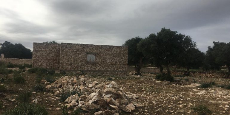 WhatsApp Image 2019-10-12 at 19.59.36